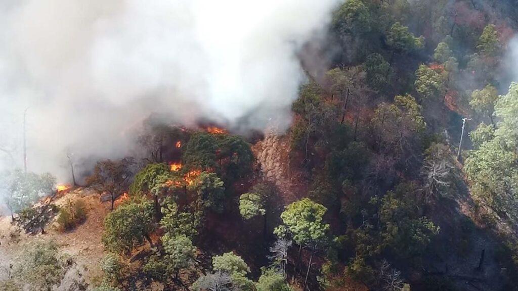  El Vigía en La Yesca ya es el incendio más devastador del año en Nayarit