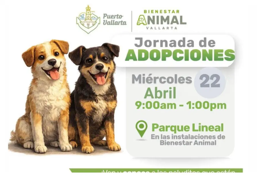 Adopta un amigo hoy: Jornada de bienestar animal en el Parque Lineal de Puerto Vallarta
