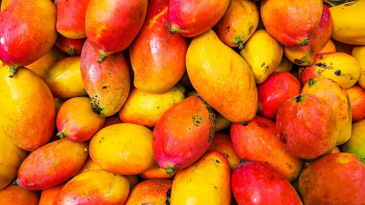 La Amenaza Estructural para el Mango de Nayarit
