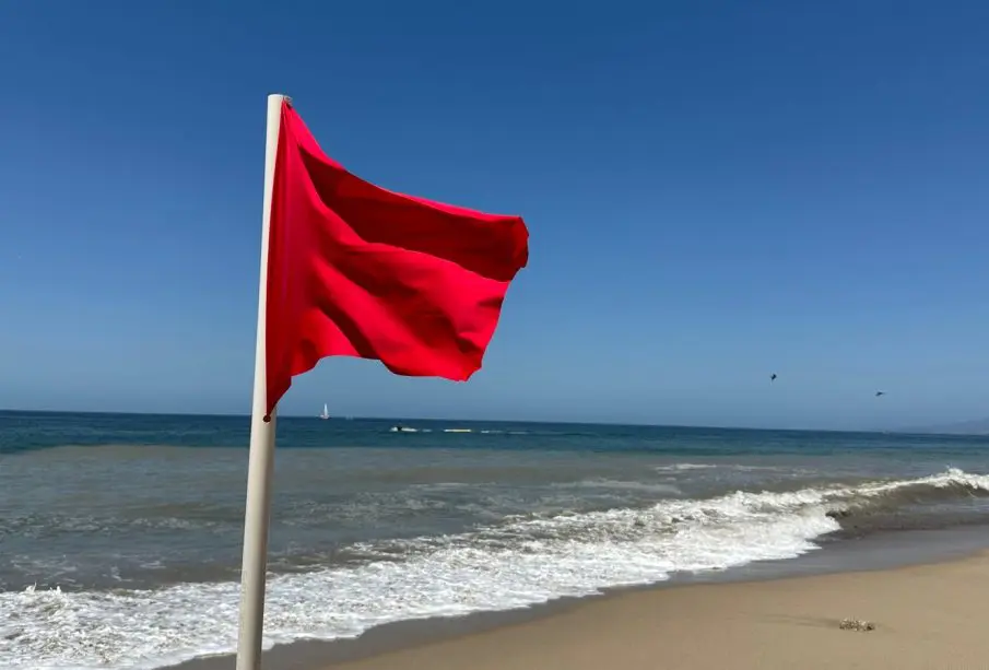 Alerta para turistas: Playas de Puerto Vallarta izan bandera roja y morada por presencia de fauna silvestre
