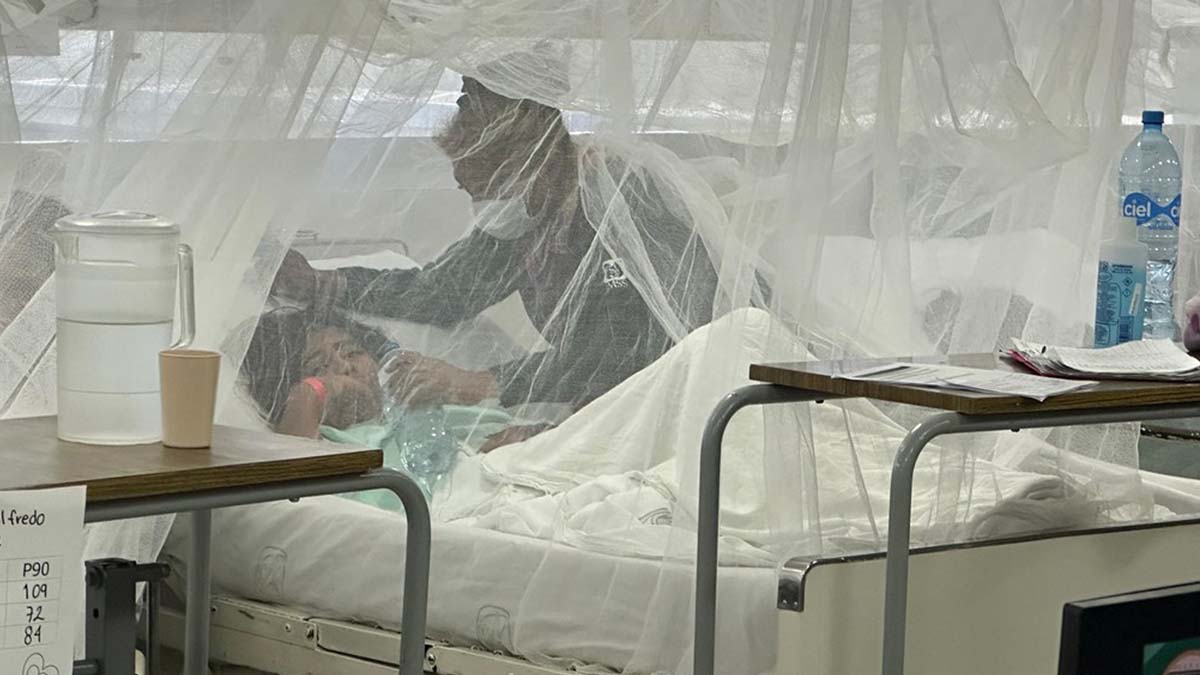 Alerta epidemiológica: Dengue grave se dispara 140% en Nayarit durante 2026
